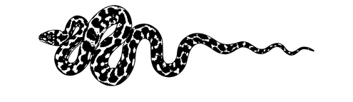 divider image black outline of a snake